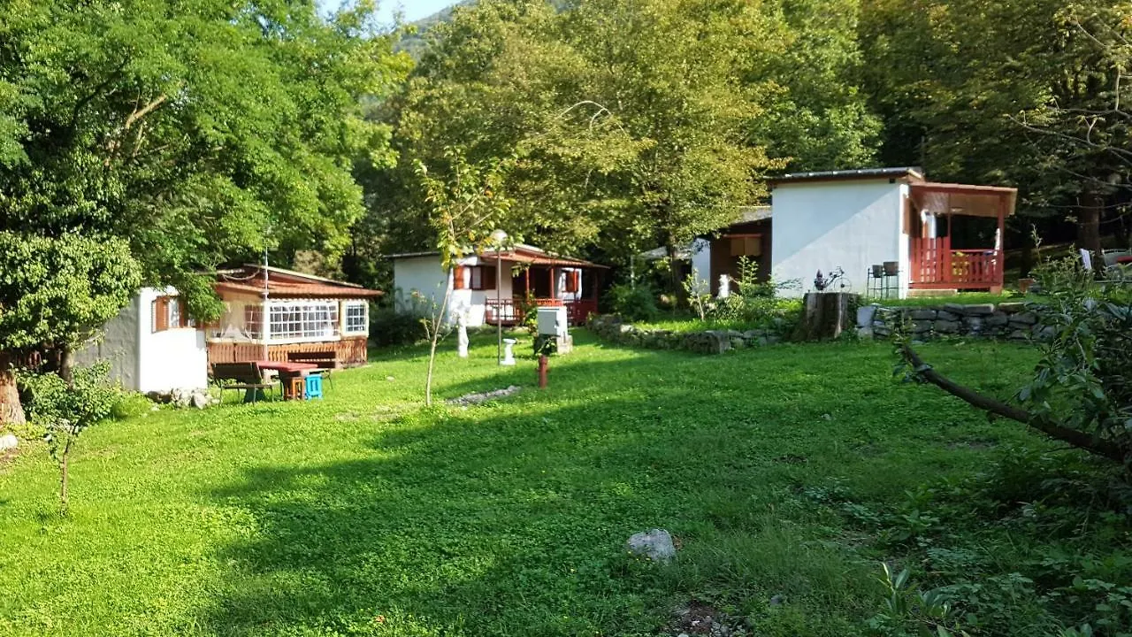 公寓 Crotto Caraco Appartamenti Bungalow Chalet 波尔莱扎